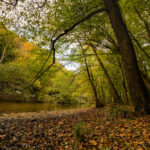 Banks Lake National Wildlife Refuge